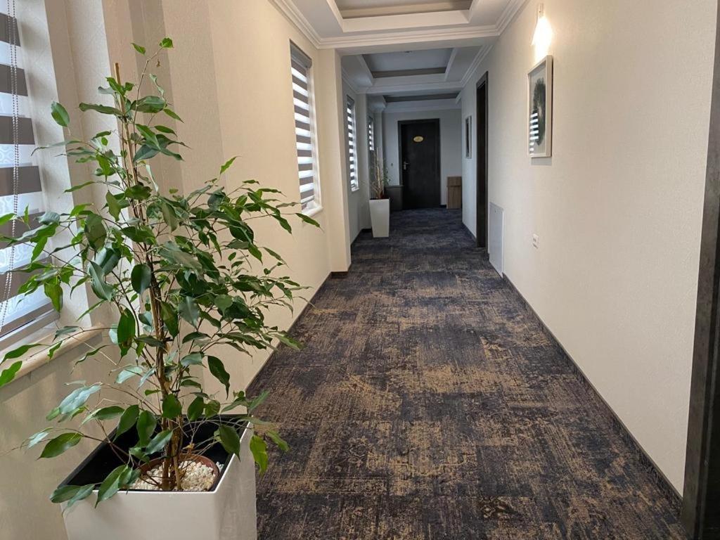 Hotel Yarus Plus بلوييست المظهر الخارجي الصورة